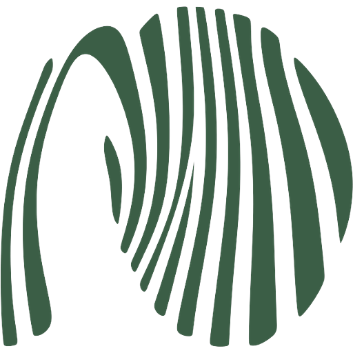 Vorten Studio